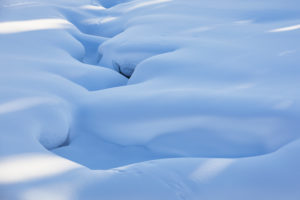 Finland, Lapland, winter, snow cover, detail Finland, Lapland, winter, snow cover, detail